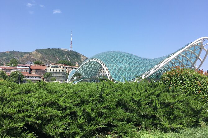 Old Tbilisi Private Walking Tour with Wine Tasting and Cable Car - Rezo Gabriadze Marionette Theater and the Clockwork Tower Moment
