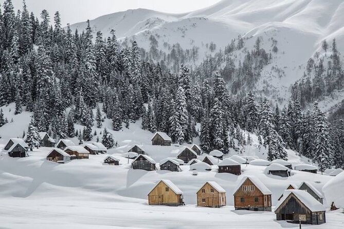One day to snow from Kutaisi - Bakhmaro in Guria: 5 Hours for Snow, Forest Air, and Spa Vibes