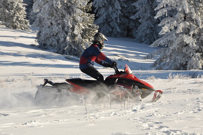One day to snow from Kutaisi - Price and Value: What $115 Buys You