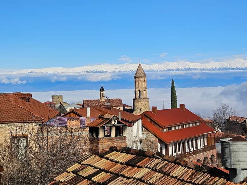 One-day tour in Kakheti with a guide and free wine tasting - Key things that make this Kakheti tour work