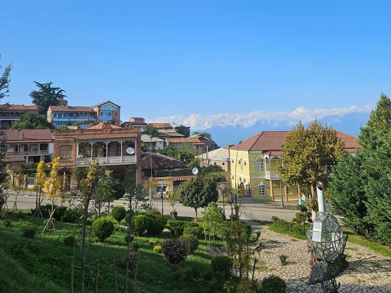 One-day tour in Kakheti with a guide and free wine tasting - Telavi and the 900-year-old chadra tree