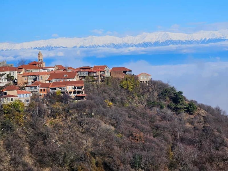 One-day tour in Kakheti with a guide and free wine tasting - Dinner in Telavi and the final 8000-year tradition tasting