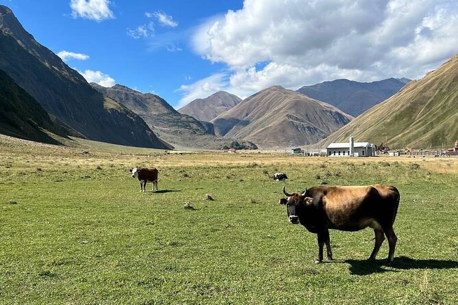 One-day tour to the Magnificent Kazbegi - Stop 2: Ananuri Fortress Ensemble, walls you can walk the perimeter of