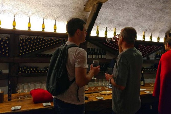 Premium & Organic Wine Tour in Kakheti - Why this Kakheti wine day trip makes sense from Tbilisi