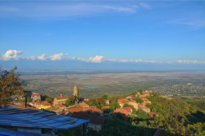 Premium & Organic Wine Tour in Kakheti - Shumi Winery factory tour and the endemic grape collection vineyard