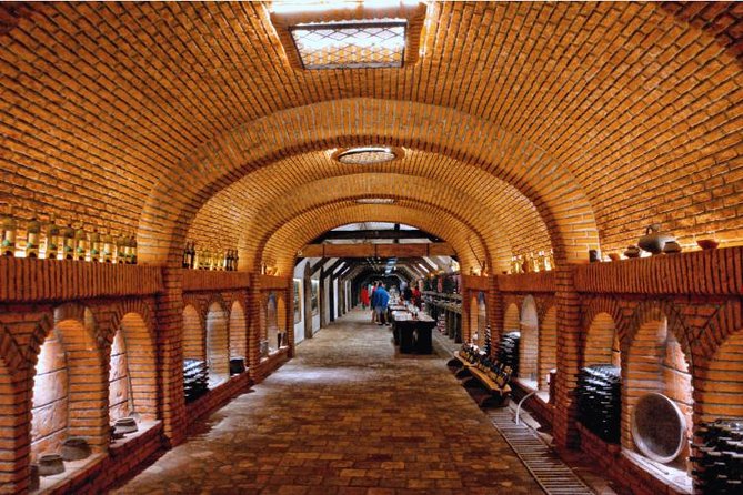 Premium & Organic Wine Tour in Kakheti - Price and value: what you are really paying for