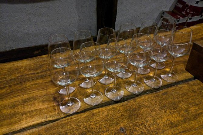 Premium & Organic Wine Tour in Kakheti - The guide factor: comfort, pacing, and friendly expertise