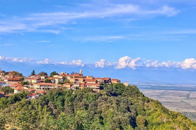 Premium & Organic Wine Tour in Kakheti - Sighnaghi Wall walk and Okro Wines organic tastings