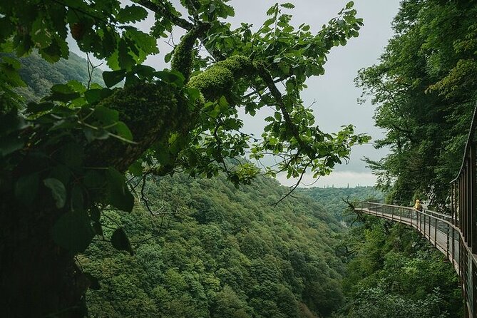 Private Canyon &Cave Tour from Batumi(Martvili,Okatse,Prometheus) - Timing, Weather, and Stop Order: What Might Change During the Day