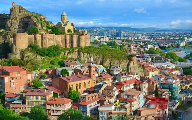 Private Day Trip from Yerevan to Tbilisi - How this private day trip keeps your time in Tbilisi, not on logistics