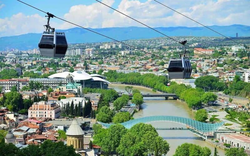 Private Day Trip from Yerevan to Tbilisi - Bagratashen customs stop, why it matters for your schedule