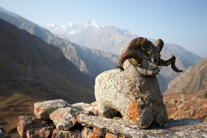 Private day trip to the Caucasus mountains and the Russian border - The Russian Georgian Friendship Monument near Gudauri