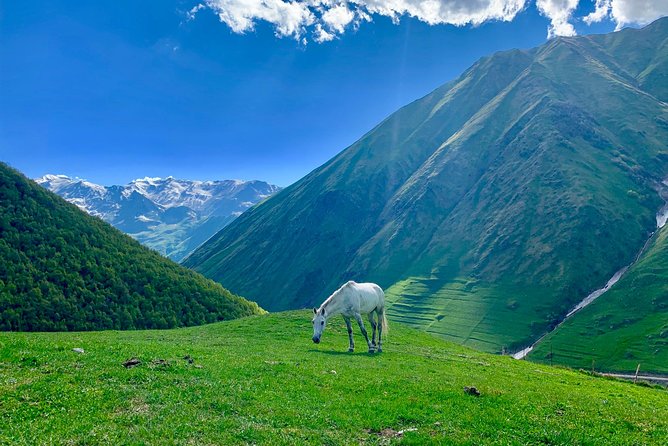 ️Private Full-Day Tour to Mtskheta and Kazbegi(stepantsminda) from Tbilisi - Morning Pickup from Tbilisi, and What the Day Feels Like
