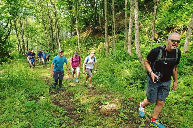 Private Hiking Tour to Machakhela National Park from Batumi - The 10:00 am visitor-center start, plus pickup in Batumi