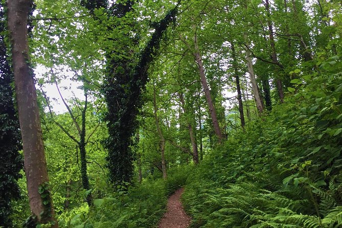 Private Hiking Tour to Mtirala National Park from Batumi - Door-to-Door Pickup in Batumi (The Part That Saves Your Day)