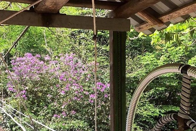 Private Hiking Tour to Mtirala National Park from Batumi - Cablecar Included, Zipline Optional: Picking Your Adventure Level