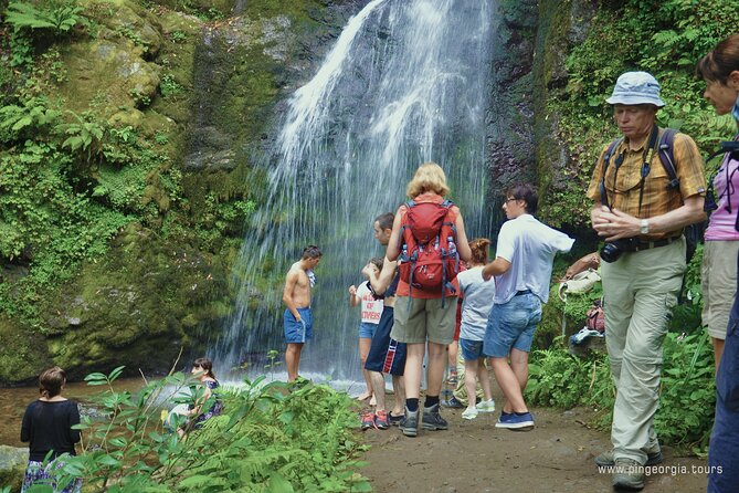 Private Hiking Tour to Mtirala National Park from Batumi - What’s Included vs. Not Included (So You Can Budget Without Surprises)