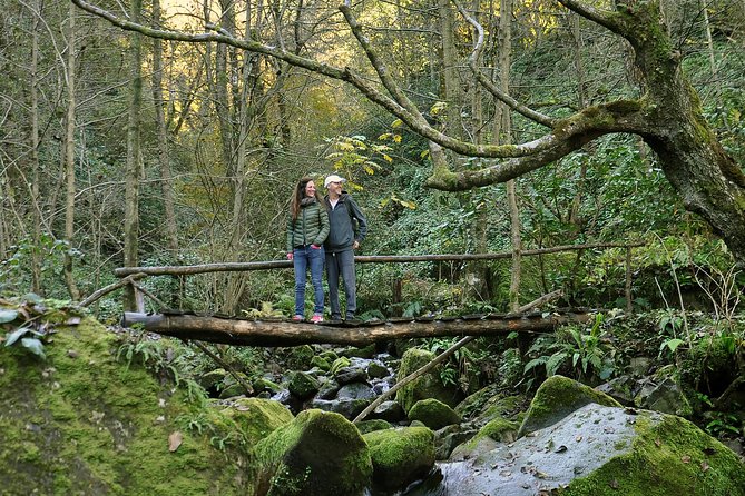 Private Hiking Tour to Mtirala National Park from Batumi - Getting to Mtirala National Park: How Long, How Easy, and What to Expect