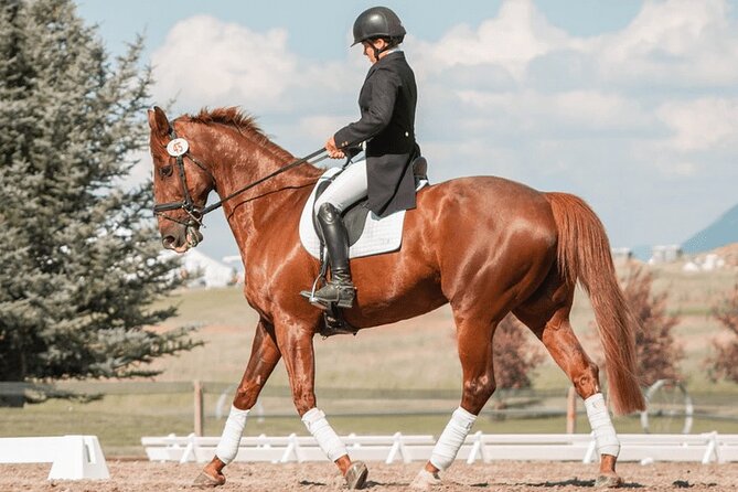 Private Horse Ridding tour - Key things to know before you book