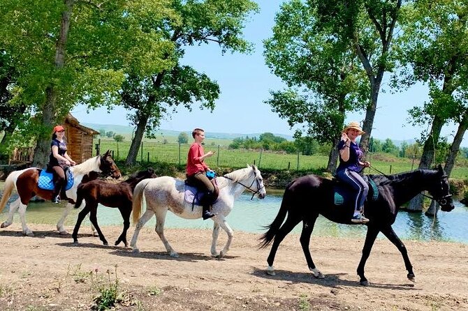 Private Horse Ridding tour - Where the ride happens: Lilo Mall stables and a quick Tbilisi reset