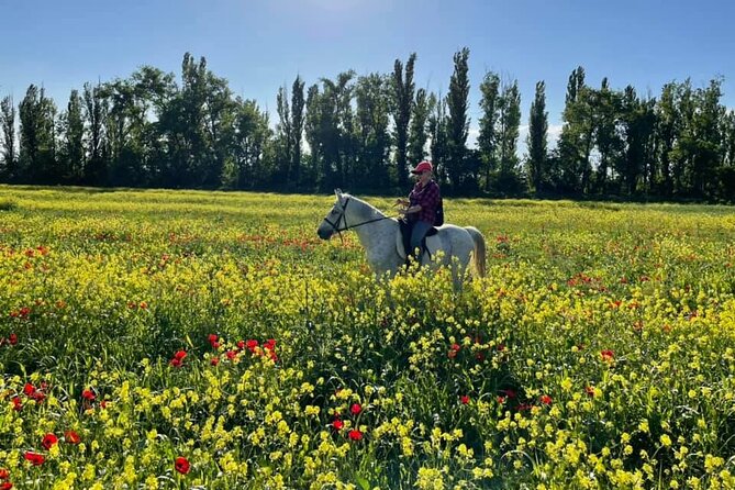 Private Horse Ridding tour - Private tour perks: why your group changes the feel