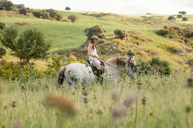 Private Horse Riding Adventure in Tbilisi - One hour on horseback outside the city noise