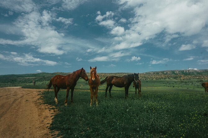 Private Horse Riding Adventure in Tbilisi - The ride itself: paths, animals, and photo stops