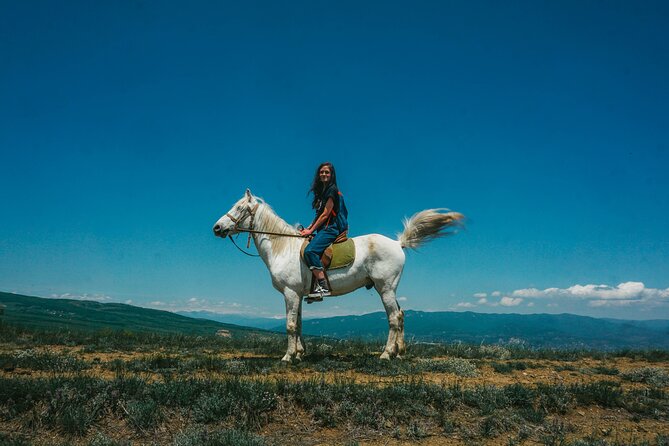 Private Horse Riding Adventure in Tbilisi - What you do first: horse prep and beginner basics