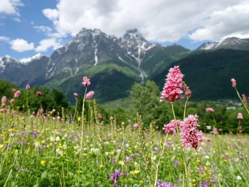 Private tour from KUTAISI: SVANETI and MESTIA - Driver quality and language, the difference you’ll feel