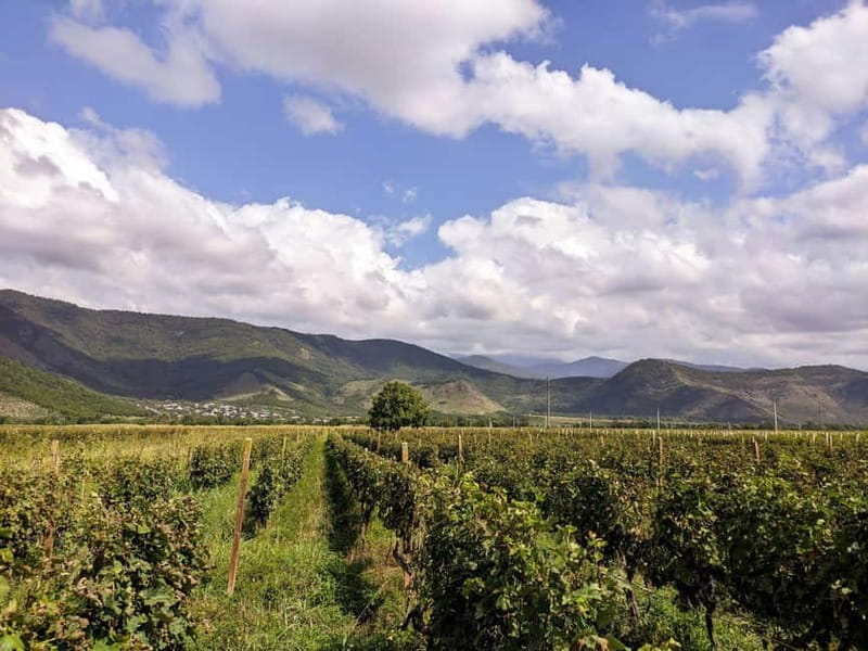 Private tour from KUTAISI: Tskhrajvari, Racha and Winery - What to pack and how to pace yourself on mountain terrain