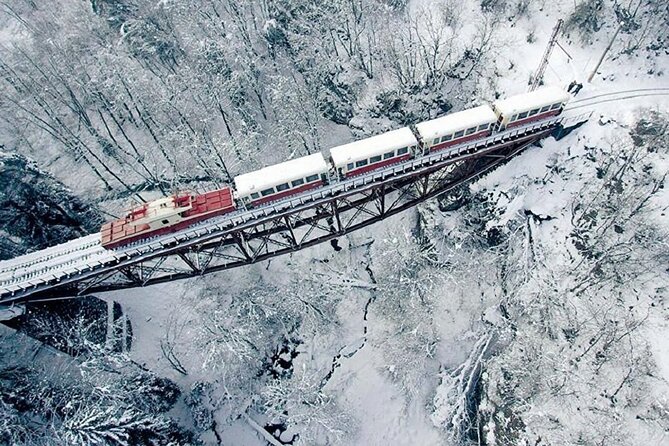 Private Tour to Bakuriani Ski Resort and the Legendary Borjomi - Key Points Worth Knowing Before You Go