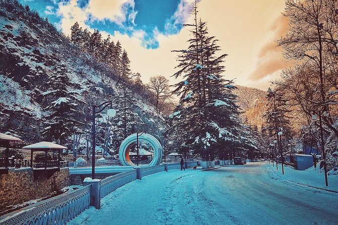 Private Tour to Bakuriani Ski Resort and the Legendary Borjomi - Kukushka Train to Bakuriani: The Scenic Highlight You Actually Get Time For