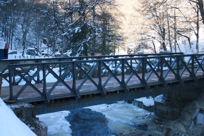 Private Tour to Bakuriani Ski Resort and the Legendary Borjomi - Price and Value: Is $105 Worth It?