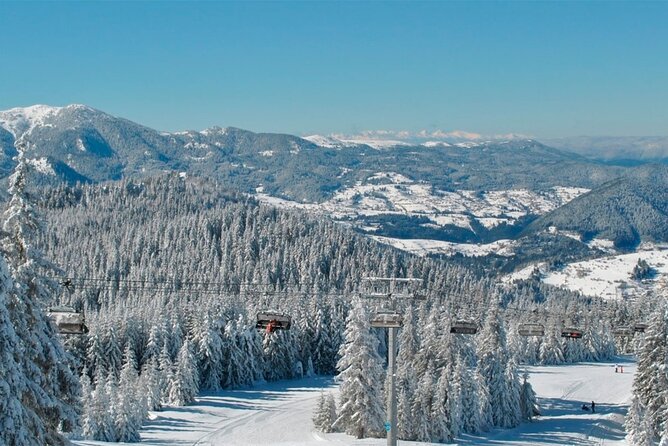 Private Tour to Bakuriani Ski Resort and the Legendary Borjomi - The Morning Start, Pickup, and Getting Ready for the Day