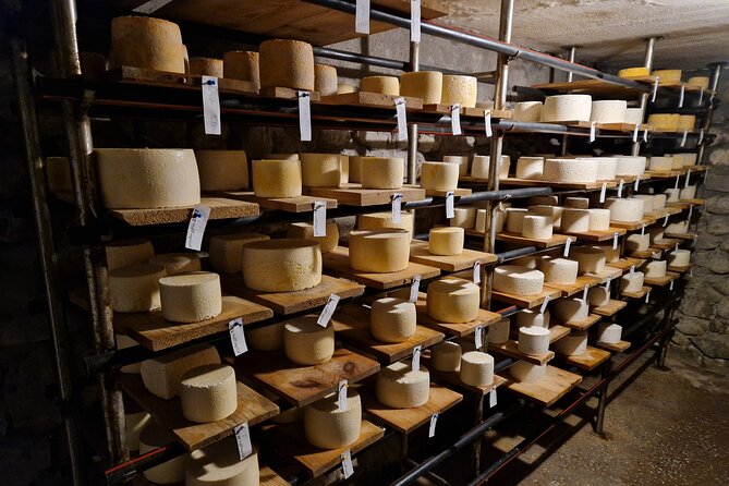 Private Ultimate Foodie Kakheti Experience with wine and cheese - Marani Milorauli winery and Rkatsiteli amber: meet the winemakers