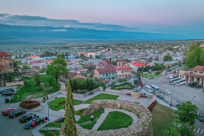 Private Wine Tour in Kakheti with Wine Tastings - Comfort, timing, and smart prep from Tbilisi