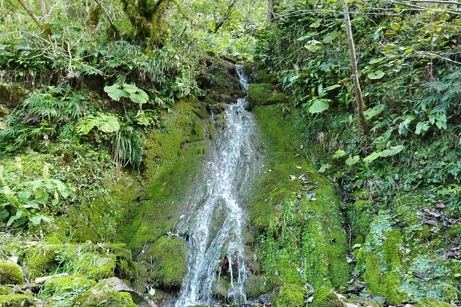 Prometheus cave, Martvili canyon - What’s included, what is not, and your simple planning checklist