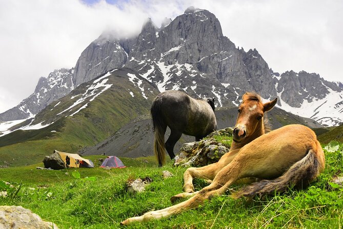 Round Trip Bus Transfer to Juta from Kazbegi - Price and value: why $22.55 can beat the taxi math