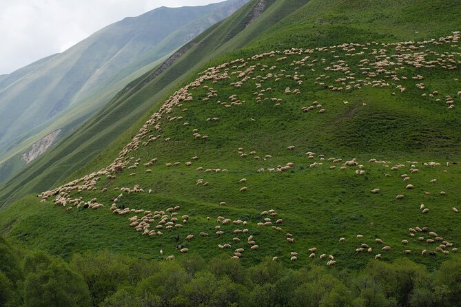 Round-Trip Bus Transfer to Truso Valley from Kazbegi - Key highlights you will care about
