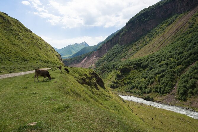 Round-Trip Bus Transfer to Truso Valley from Kazbegi - What is not included, and why you should plan for it