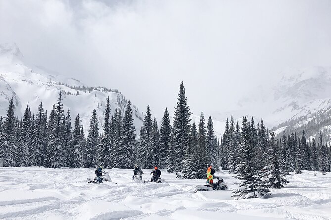 Ski & Snow Tour to Bakuriani from Kutaisi with Borjomi Stop - Bakuriani Ski Resort at 2,700 Meters: Pick Your Winter Style