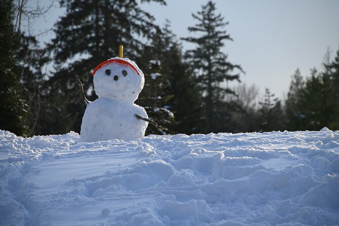 Ski & Snow Tour to Bakuriani from Kutaisi with Borjomi Stop - The Guide Factor: Why People Keep Mentioning Names