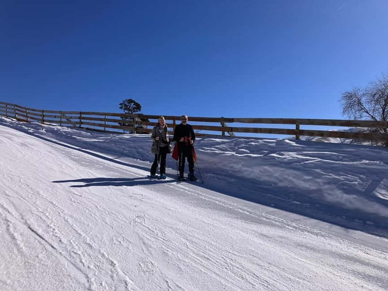 Snowshoeing in Bakuriani, Caucasus Mountains - Who should book this snowshoe tour, and who should skip it