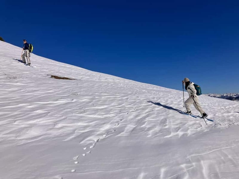 Snowshoeing in Bakuriani, Caucasus Mountains - Bakuriani snowshoeing, the half-day that mixes snow and real places
