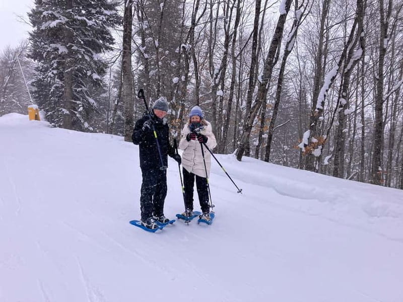 Snowshoeing in Bakuriani, Caucasus Mountains - Fish farm grilled on-site, where lunch becomes part of the story