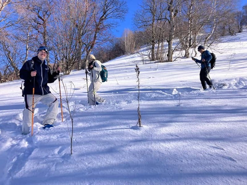 Snowshoeing in Bakuriani, Caucasus Mountains - Pine forest among ancient ruins, a winter walk with texture