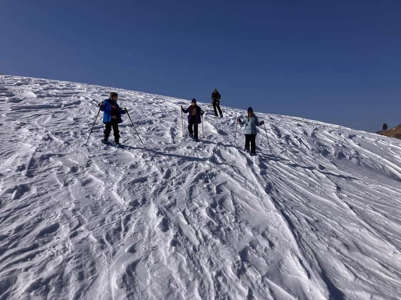 Snowshoeing in Bakuriani, Caucasus Mountains - Price and value: is $58 fair for 4.5 hours?