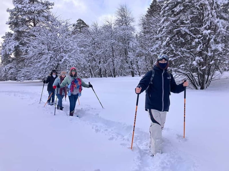 Snowshoeing in Bakuriani, Caucasus Mountains - Pickup, van ride, and gear, so you can start enjoying sooner