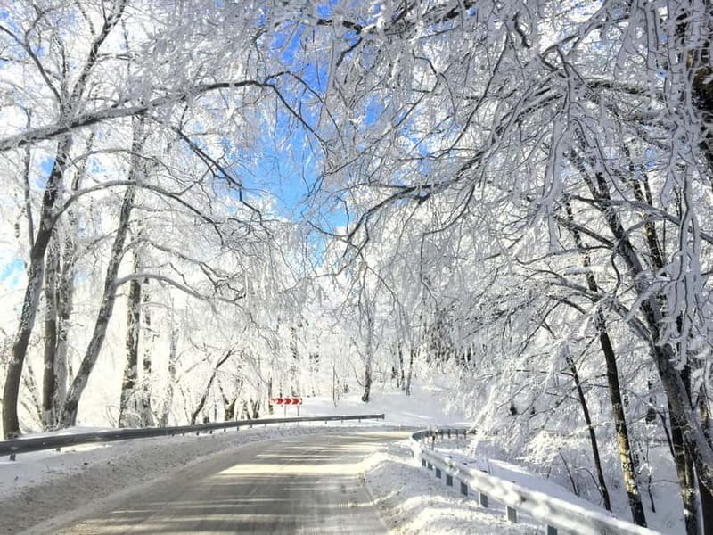 Spring in Tbilisi: Sabaduri, Jvari, Bears & Chronicle - Who should book this tour, and who should skip it
