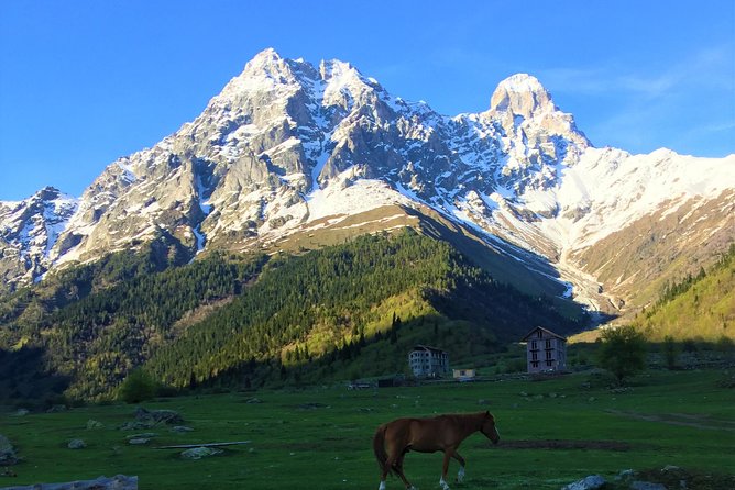 Svaneti Mountain Villages 4x4 Safari, tour from Kutaisi - Highlights You Should Know Before You Go